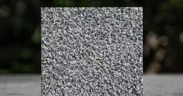 宜昌 芝麻黑荔枝面